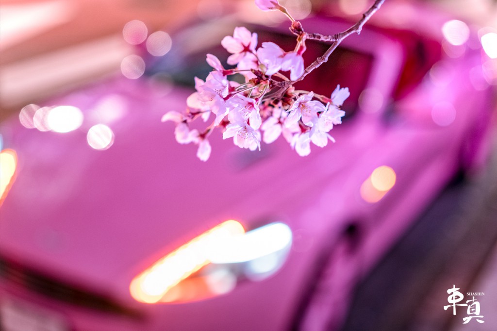 桜 車真 写真